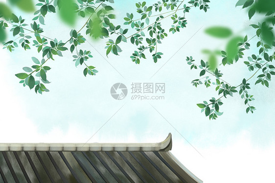 屋顶树叶图片