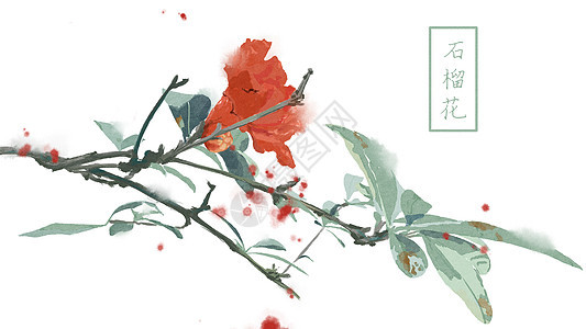 中国风手绘石榴花背景背景图片