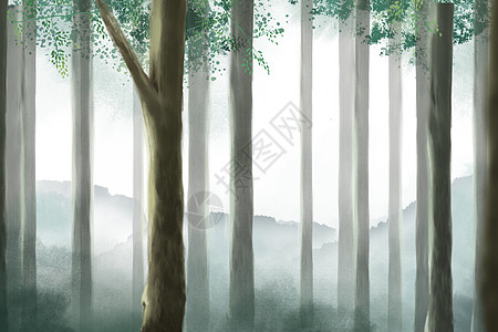 迷雾森林图片