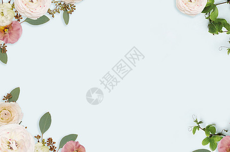 鲜花背景素材浅色花卉背景设计图片