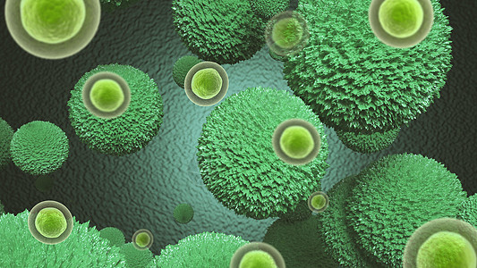 细胞真菌生物结构背景图片
