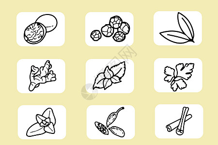 香料植物香料图标插画