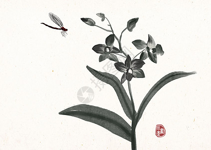 水墨兰花草 水墨兰花草图片大全 水墨兰花草背景图片