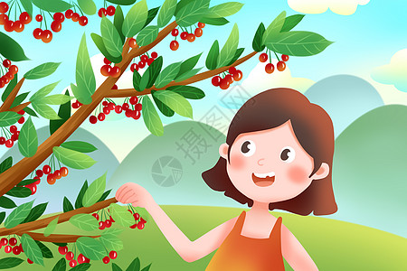 夏天摘樱桃夏日,果树图片素材