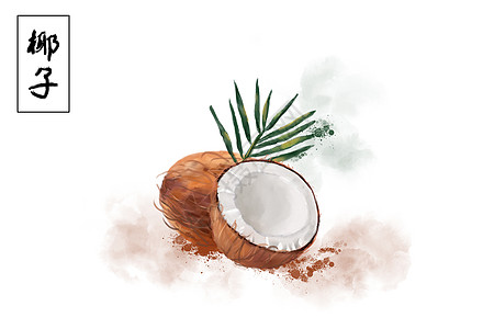 椰子水果插画图片