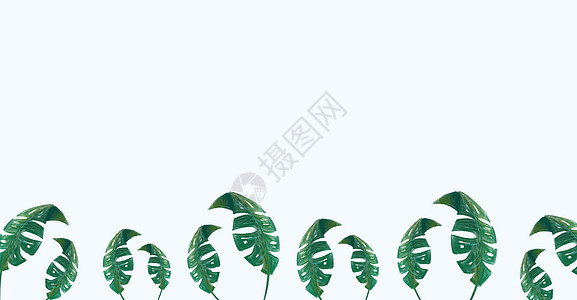 清新水彩叶子插画背景图片