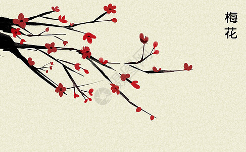 梅花花卉插画背景图片