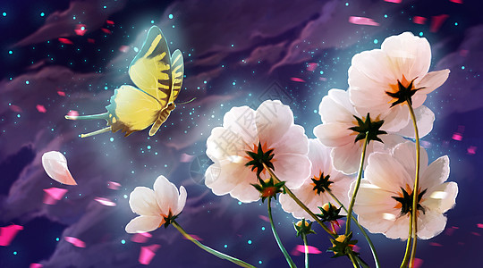 夜空下在花丛飞舞的蝴蝶图片