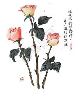 背景边框素材玫瑰花插画