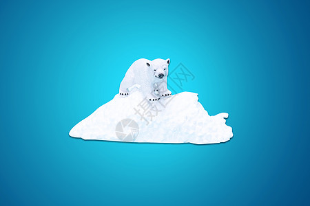 北極熊冰山融化设计图片