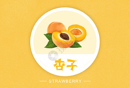 杏子水果插画图片