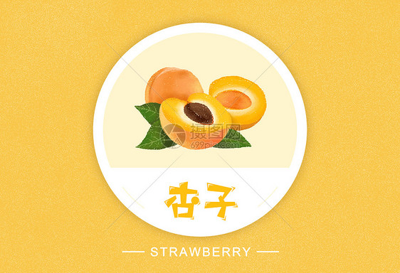 杏子水果插画图片