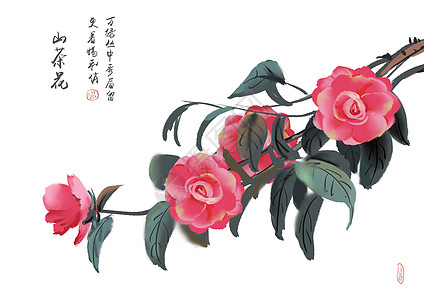 山茶花国画玫瑰高清图片