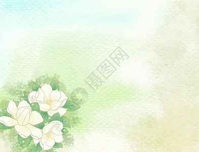 花朵水彩背景图片