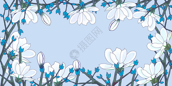 蓝色花卉边框背景图片图片