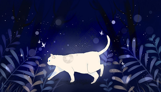 白猫图片 白猫图片大全 白猫背景图片