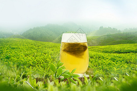 绿茶茶海图片