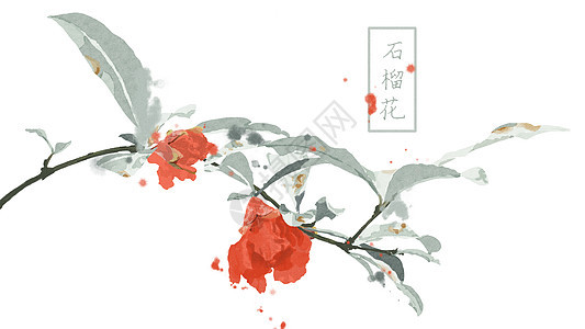 中国风手绘石榴花插画图片