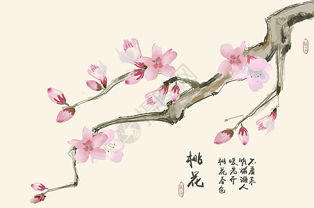 中国框桃花插画