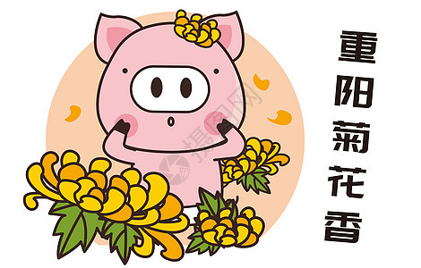 猪小胖卡通形象重阳菊花配图图片