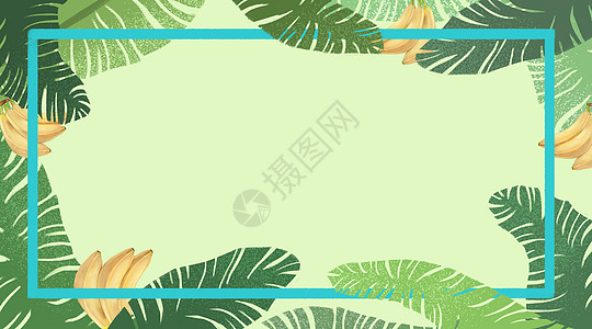 绿水果植物背景插画