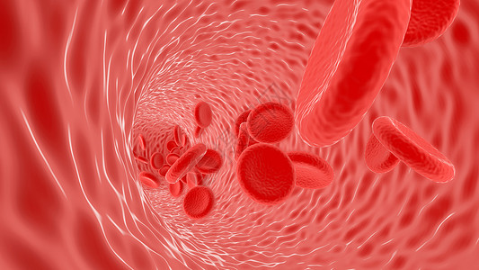 红细胞细胞血管场景设计图片