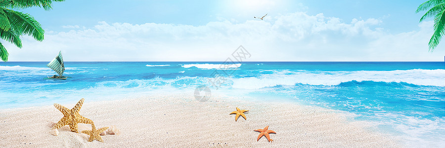 海滩海星清凉海滩背景设计图片