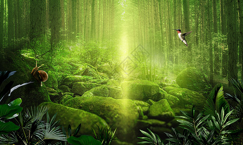 蜂鸟绿光森林场景设计图片