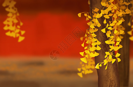 孤立的秋天红墙外的银杏插画