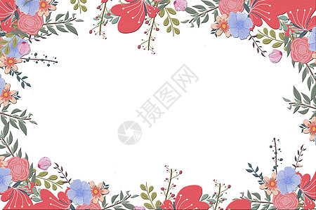 花卉植物背景图片