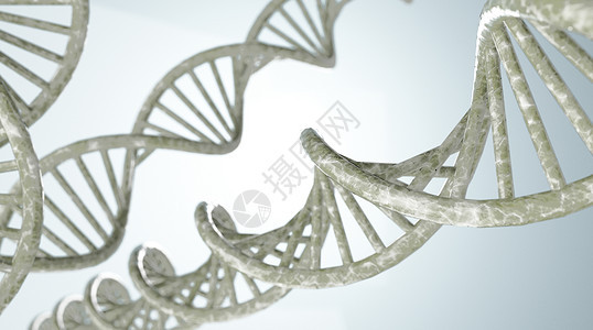 DNA基因螺旋结构图片