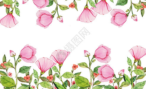 花卉水彩背景插画图片下载 正版图片 摄图网