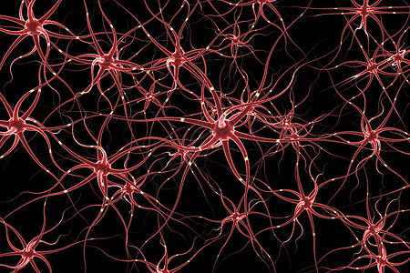 神经细胞传输图片