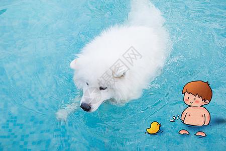 泳池里的小男孩和小狗图片
