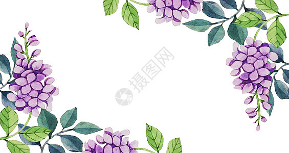 水彩花卉背景图片