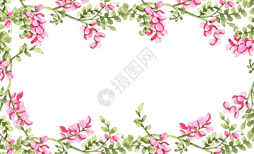 水彩花卉背景背景图片