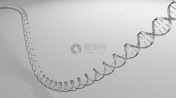 DNA基因螺旋结构图片