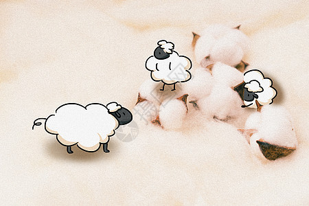 可爱小绵羊创意摄影插画图片