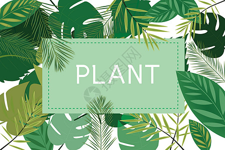 背景 树叶热带植物背景插画
