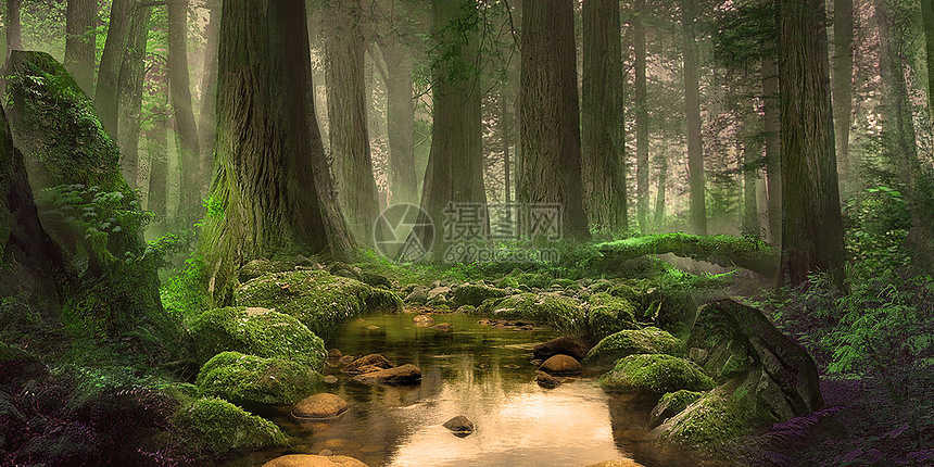 创意森林背景图片素材 正版创意图片 摄图网