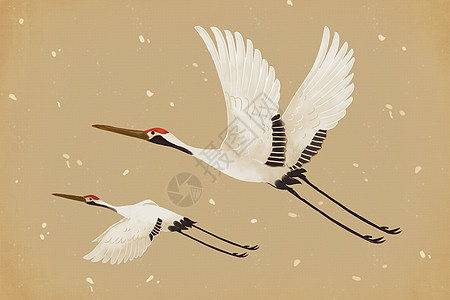 中国风仙鹤插画图片
