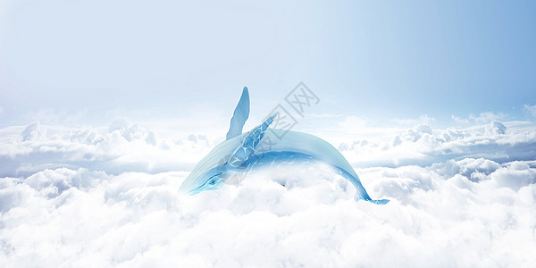 鲸鱼天空翱翔的鲸鱼设计图片