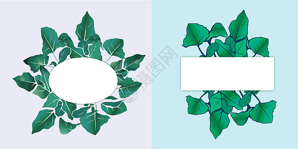 植物背景插画图片下载 正版图片 摄图网 植物背景插画图片下载 正版图片 摄图网