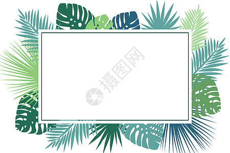 矢量留白热带植物背景素材图片