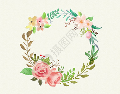 清新花卉植被插画背景图片