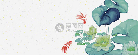 中国风锦鲤睡莲背景图片