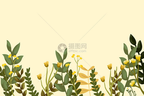 植物背景插画图片