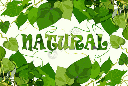 绿色护眼背景图片