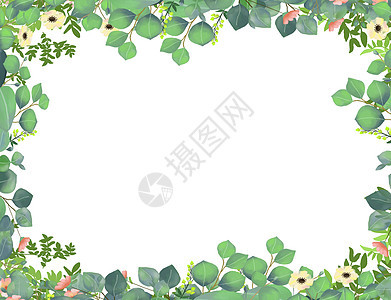 手绘植物背景插画图片下载 正版图片 摄图网