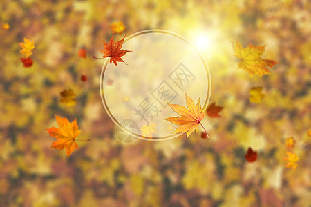 秋季背景图片图片